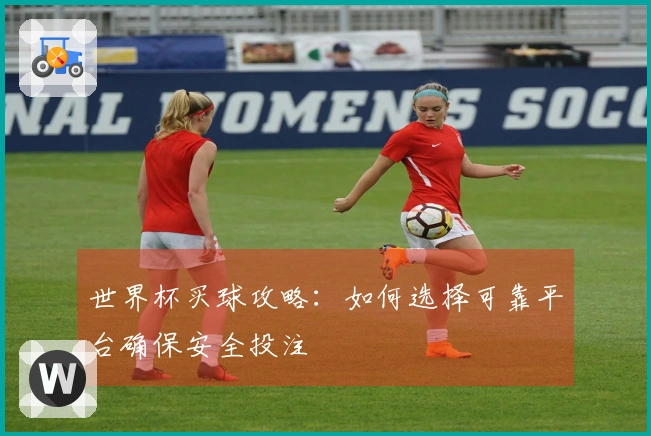 世界杯买球攻略：如何选择可靠平台确保安全投注
