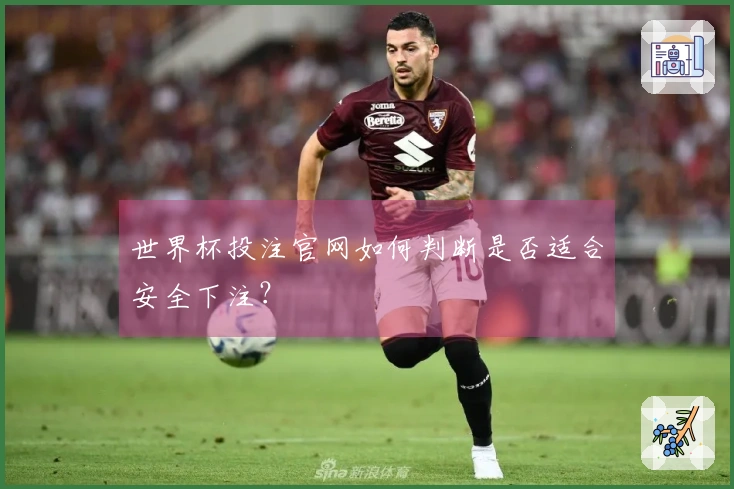 世界杯投注官网如何判断是否适合安全下注？