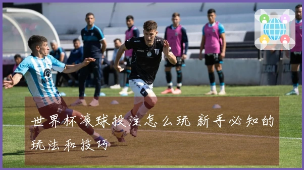 世界杯滚球投注怎么玩 新手必知的玩法和技巧
