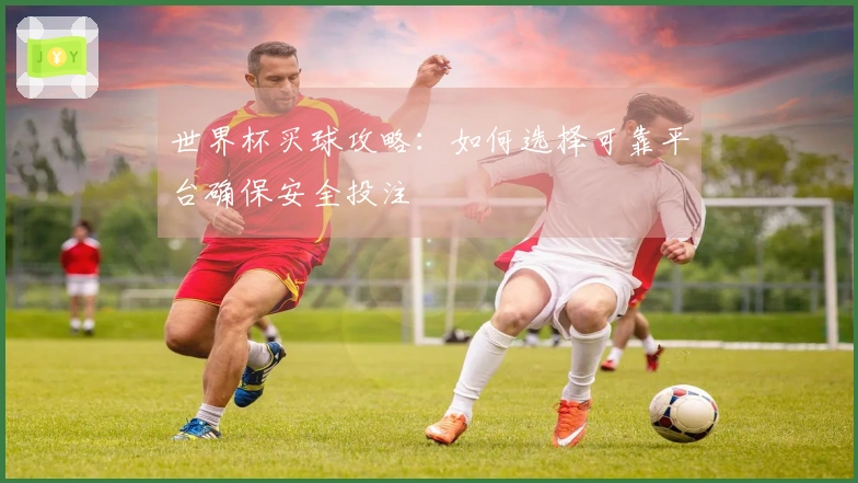 世界杯买球攻略:如何选择可靠平台确保安全投注