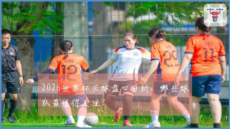 2026世界杯买球盘口分析，哪些球队最值得关注？