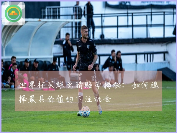 世界杯买球竞猜赔率揭秘：如何选择最具价值的下注机会