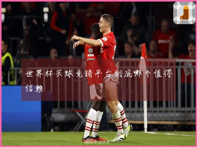 世界杯买球竞猜平台到底哪个值得信赖
