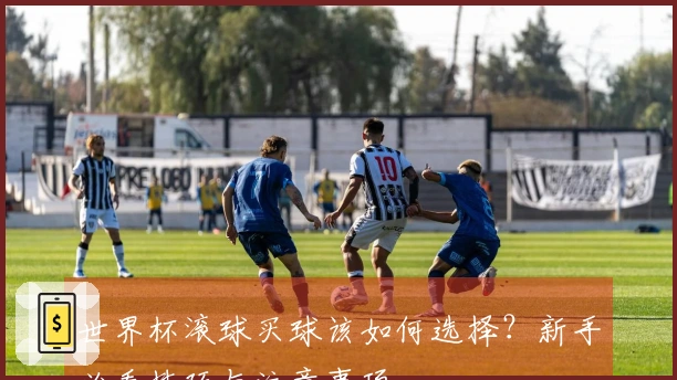 世界杯滚球买球该如何选择？新手必看技巧与注意事项