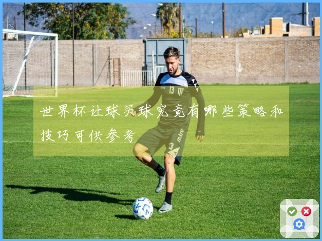 世界杯让球买球究竟有哪些策略和技巧可供参考