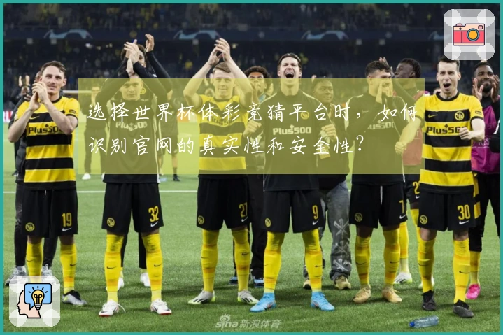 选择世界杯体彩竞猜平台时，如何识别官网的真实性和安全性？