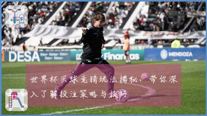世界杯买球竞猜玩法揭秘，带你深入了解投注策略与技巧