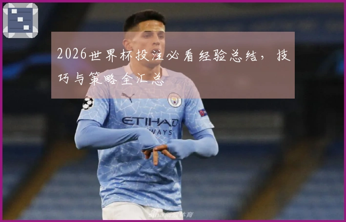 2026世界杯投注必看经验总结，技巧与策略全汇总