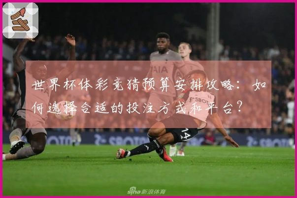 世界杯体彩竞猜预算安排攻略：如何选择合适的投注方式和平台？