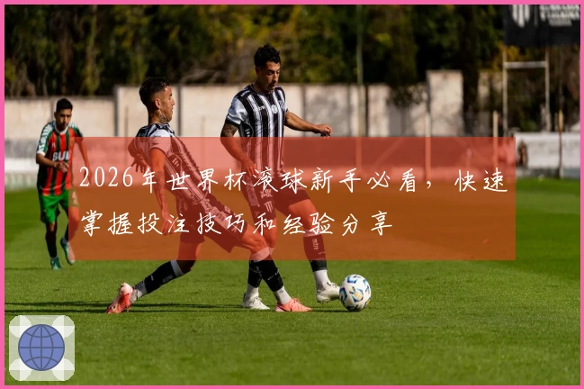 2026年世界杯滚球新手必看，快速掌握投注技巧和经验分享