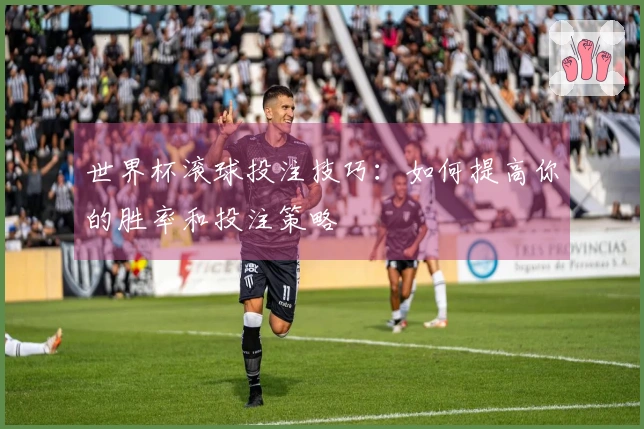 世界杯滚球投注技巧：如何提高你的胜率和投注策略