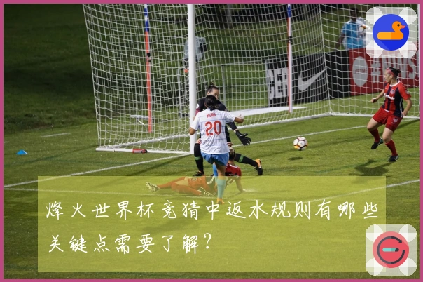 烽火世界杯竞猜中返水规则有哪些关键点需要了解？