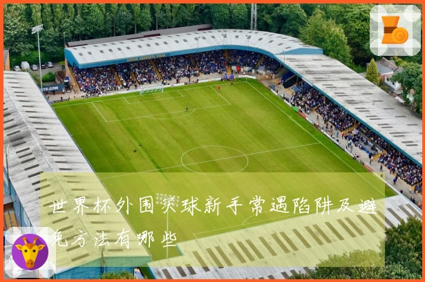 世界杯外围买球新手常遇陷阱及避免方法有哪些