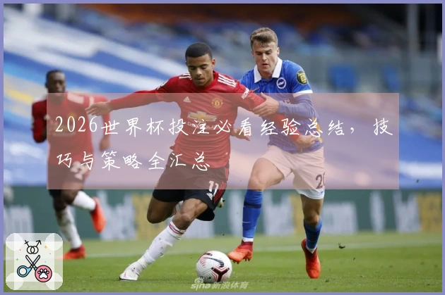2026世界杯投注必看经验总结，技巧与策略全汇总