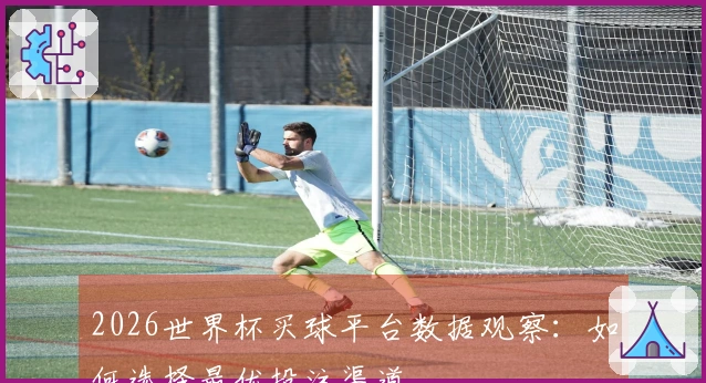 2026世界杯买球平台数据观察：如何选择最优投注渠道
