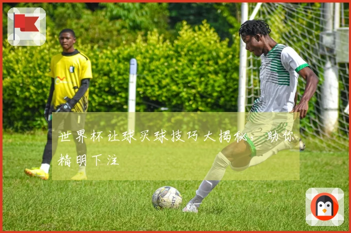 世界杯让球买球技巧大揭秘，助你精明下注